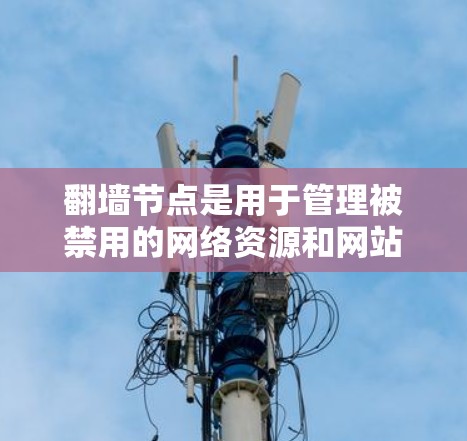 翻墙节点是用于管理被禁用的网络资源和网站的工具,通常使用Netcat(Netcat)实现。以下是推荐使用Netcat进行翻墙操作的步骤和建议