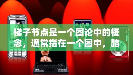梯子节点是一个图论中的概念,通常指在一个图中,路径必须沿着特定的边或节点移动。具体来说,梯子节点可能指的是一种结构,类似于梯子的两个腿,路径在移动时只能跨过一个节点,类似于梯子的移动方式