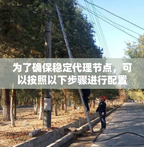 为了确保稳定代理节点,可以按照以下步骤进行配置和管理