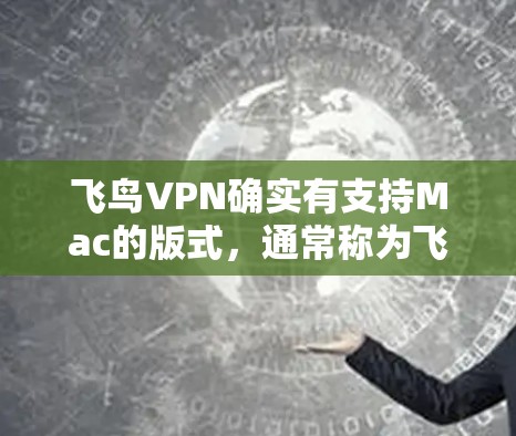 飞鸟VPN确实有支持Mac的版式,通常称为飞鸟VPN Mac版。以下是关于飞鸟VPNMac版的一些信息