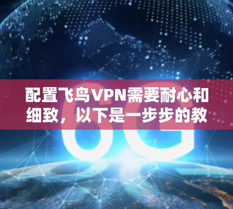 配置飞鸟VPN需要耐心和细致,以下是一步步的教程