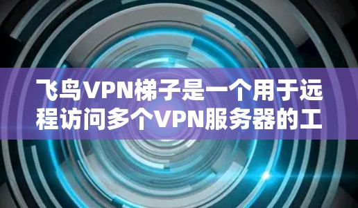飞鸟VPN梯子是一个用于远程访问多个VPN服务器的工具,通常由飞鸟公司提供。以下是使用飞鸟VPN梯子的步骤和方法