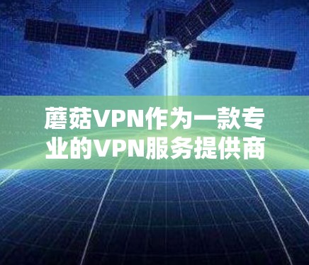 蘑菇VPN作为一款专业的VPN服务提供商,提供的服务包括稳定、安全、便捷的VPN体验。然而,用户可能遇到的一些常见问题可以通过以下步骤进行解决