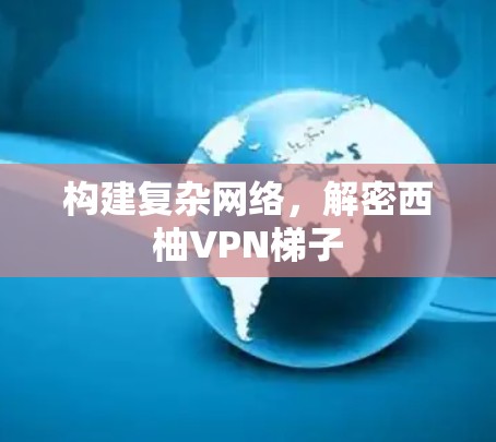 构建复杂网络,解密西柚VPN梯子