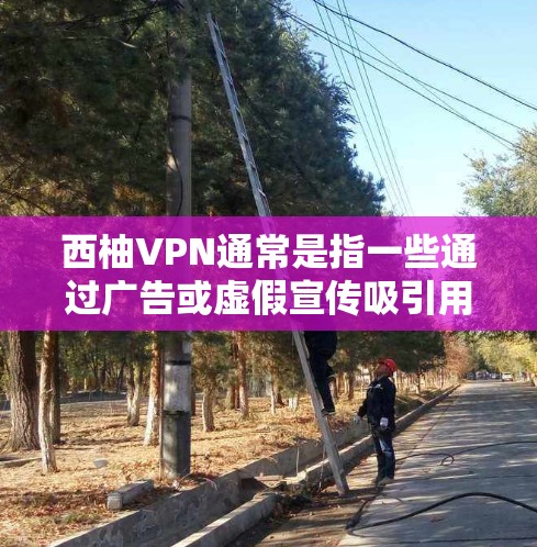 西柚VPN通常是指一些通过广告或虚假宣传吸引用户购买的VPN服务,这类网站并不提供实际的网络连接或VPN功能。因此,不存在所谓的西柚VPN优惠