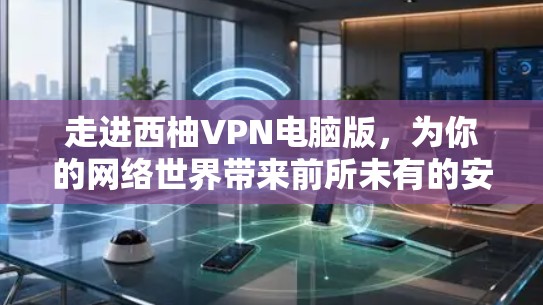 走进西柚VPN电脑版,为你的网络世界带来前所未有的安全