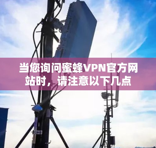 当您询问蜜蜂VPN官方网站时,请注意以下几点 当您询问蜜蜂VPN官方网站时,请注意以下几点