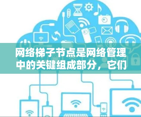 网络梯子节点是网络管理中的关键组成部分,它们负责独立运行的网络设备,负责转发流量、提供服务和处理数据。以下是网络梯子节点的详细配置和管理步骤 网络梯子节点是网络管理中的关键组成部分,它们负责独立运行的网络设备,负责转发流量、提供服务和处理数据。以下是网络梯子节点的详细配置和管理步骤