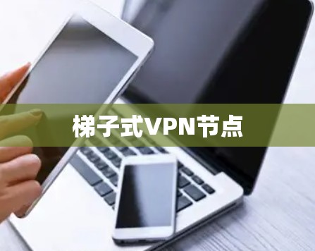 梯子式VPN节点 梯子式VPN节点