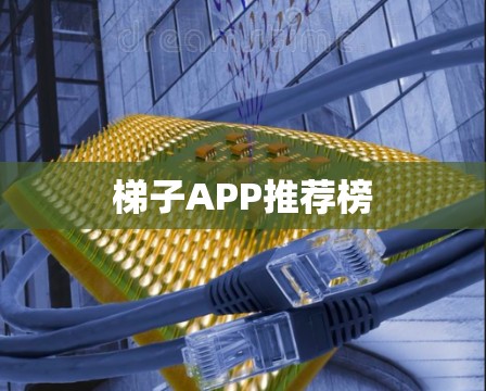 梯子APP推荐榜 梯子APP推荐榜
