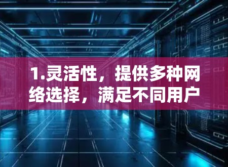 1.灵活性,提供多种网络选择,满足不同用户的需求 1.灵活性,提供多种网络选择,满足不同用户的需求