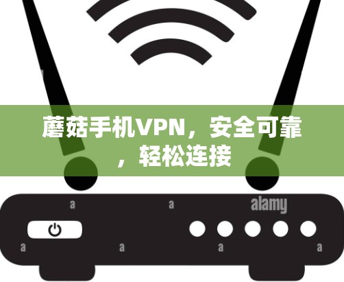 蘑菇手机VPN,安全可靠,轻松连接 蘑菇手机VPN,安全可靠,轻松连接