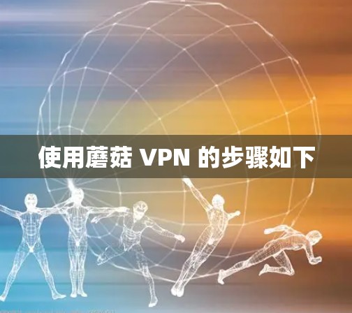使用蘑菇 VPN 的步骤如下 使用蘑菇 VPN 的步骤如下