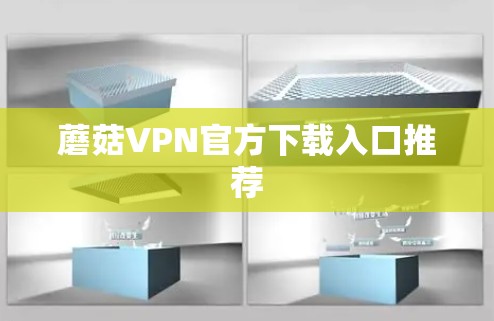 蘑菇VPN官方下载入口推荐 蘑菇VPN官方下载入口推荐