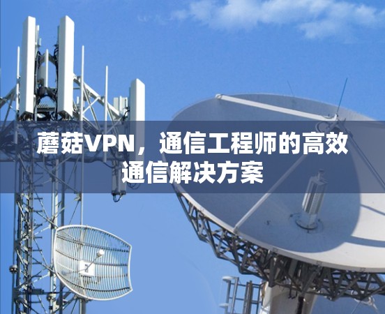 蘑菇VPN,通信工程师的高效通信解决方案 蘑菇VPN,通信工程师的高效通信解决方案