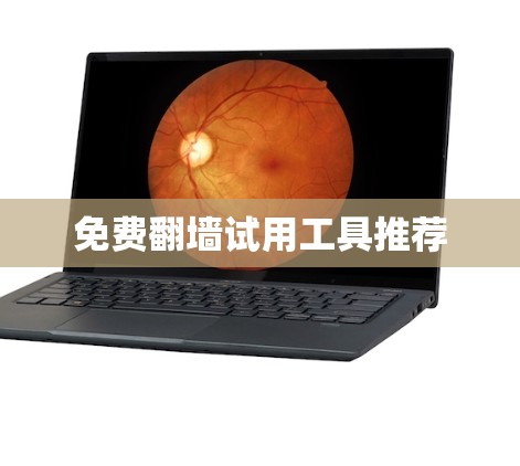 免费翻墙试用工具推荐 免费翻墙试用工具推荐