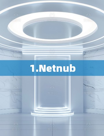 1.Netnub 1.Netnub