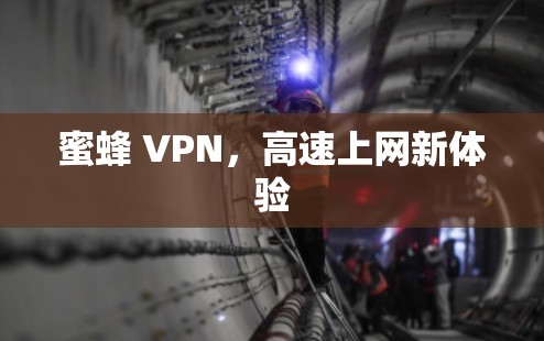 蜜蜂 VPN，高速上网新体验