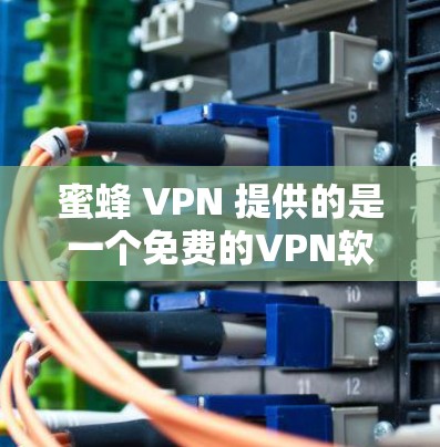 蜜蜂 VPN 提供的是一个免费的VPN软件，允许用户下载并安装其官方网站版本。以下是安装蜜蜂 VPN 的步骤