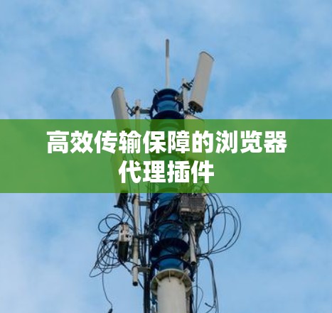 高效传输保障的浏览器代理插件 高效传输保障的浏览器代理插件