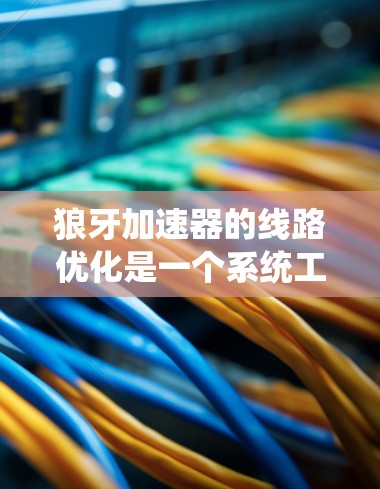 狼牙加速器的线路优化是一个系统工程，涉及多个层级的网络分析和优化。以下是一些关键步骤和优化方向，帮助您提升网络性能