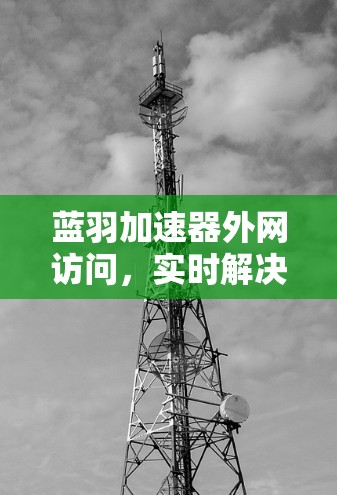 蓝羽加速器外网访问,实时解决方案,提升效率 蓝羽加速器外网访问,实时解决方案,提升效率