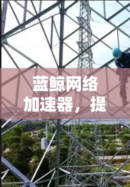 蓝鲸网络加速器,提升网络性能的高效解决方案! 蓝鲸网络加速器,提升网络性能的高效解决方案!