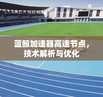 蓝鲸加速器高速节点,技术解析与优化 蓝鲸加速器高速节点,技术解析与优化