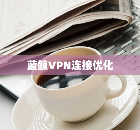 蓝鲸VPN连接优化 蓝鲸VPN连接优化