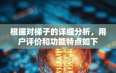 根据对梯子的详细分析，用户评价和功能特点如下