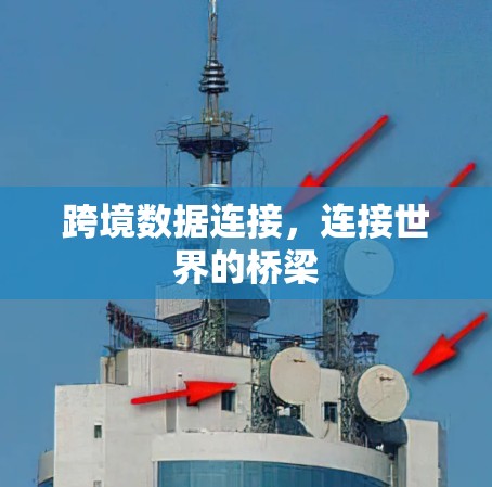 跨境数据连接,连接世界的桥梁 跨境数据连接,连接世界的桥梁