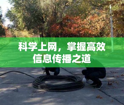 科学上网,掌握高效信息传播之道 科学上网,掌握高效信息传播之道