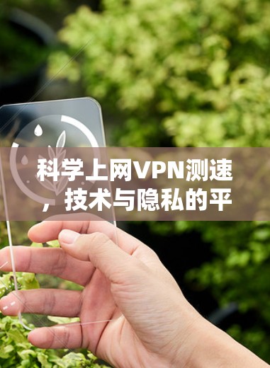科学上网VPN测速，技术与隐私的平衡