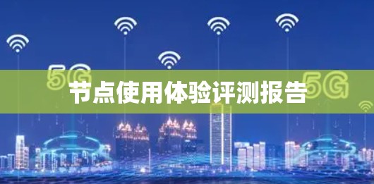 节点使用体验评测报告