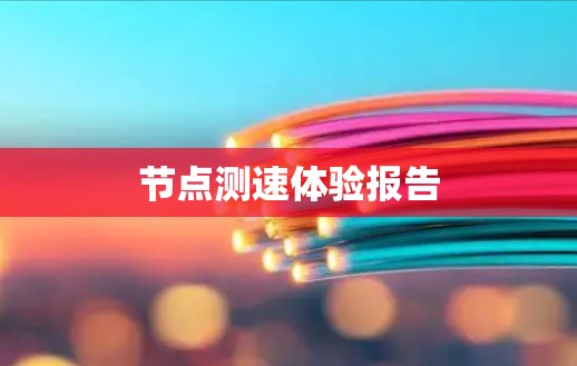 节点测速体验报告