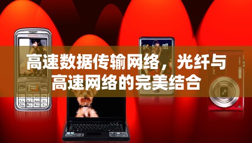 高速数据传输网络，光纤与高速网络的完美结合