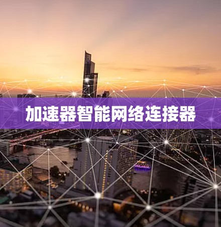 加速器智能网络连接器 加速器智能网络连接器