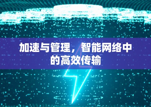 加速与管理，智能网络中的高效传输