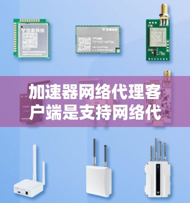 加速器网络代理客户端是支持网络代理功能的服务器，用于在特定网络上提供网络服务，通常在多个服务器上运行。以下是详细的步骤和注意事项