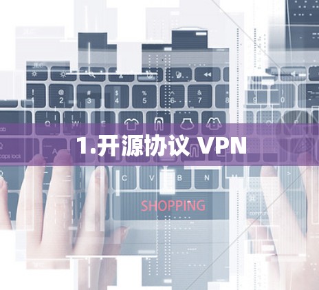 1.开源协议 VPN