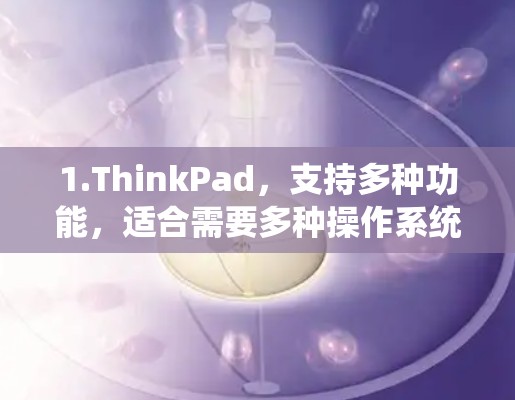 1.ThinkPad,支持多种功能,适合需要多种操作系统的用户,界面美观,功能强大 1.ThinkPad,支持多种功能,适合需要多种操作系统的用户,界面美观,功能强大