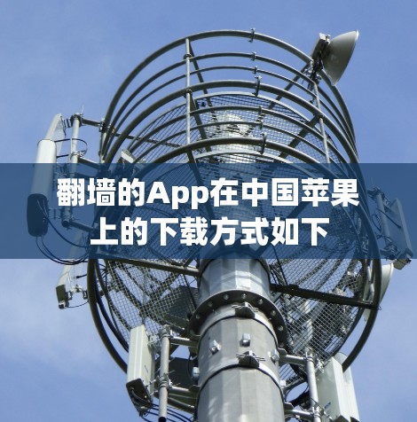翻墙的App在中国苹果上的下载方式如下